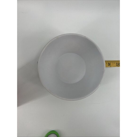 Frosted Flakes Tony the Tiger Kellogg’s Plastic Cereal Bowl Retro Image - 2014 - Picture 11 of 13